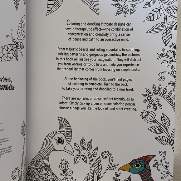 Calming Therapy: An Anti-Stress Coloring Book - Picture 7 of 16